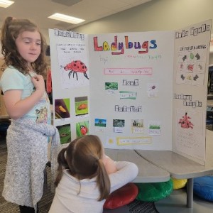 A kindergartner looks at a display created during their project favorite “Oviparous Animals"